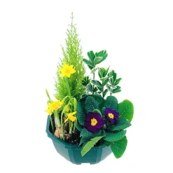 Composition 4 plantes en coupe plastique