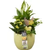 Composition plantes vertes fleuries, déco Pâques : pot D.14cm