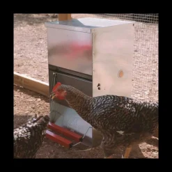COPELE - Mangeoire anti-nuisibles 20 kg pour 10 poules