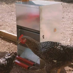 COPELE - Mangeoire anti-nuisibles 6 kg pour 3 poules
