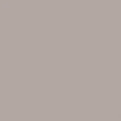 CRICUT - 2 feuilles de transfert gris 30,5 x 30,5 cm - cricut