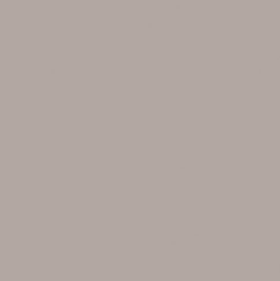 CRICUT - 2 feuilles de transfert gris 30,5 x 30,5 cm - cricut