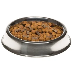 Écuelle acier inox bord relevé anti-dérapant chiens chats ferplast supernova