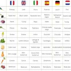 Cultivea kit prêt à pousser petit potager saveurs hivernales - poireaux, carottes, navet, radis, endive, betterave