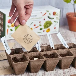 Cultivea le kit petit potager de 10 graines herbes aromatiques - basilic, thym, aneth, coriandre, menthe, sauge