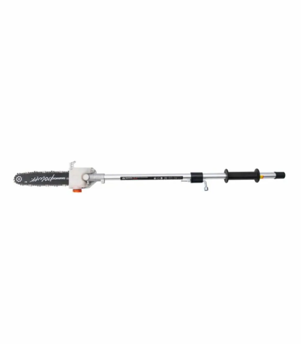 DAEWOO - Elagueuse sur perche sans fil guide 25cm pour multi outils 62v dalmt62b - daewoo dal62-ps