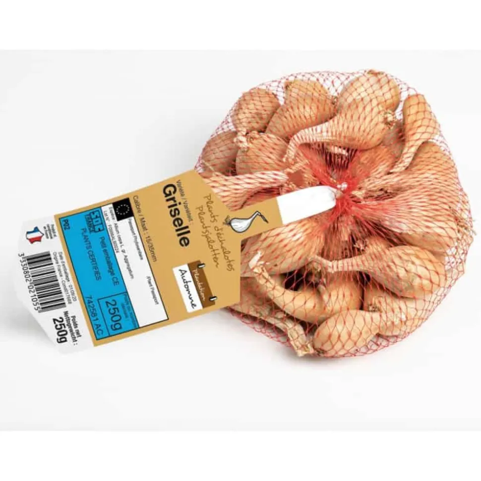 DEBAERE - Griselle 500 gr echalotes a repiquer