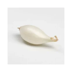 DEBAERE - Snowball (blanc) bulbes d'oignons a repiquer 500gr
