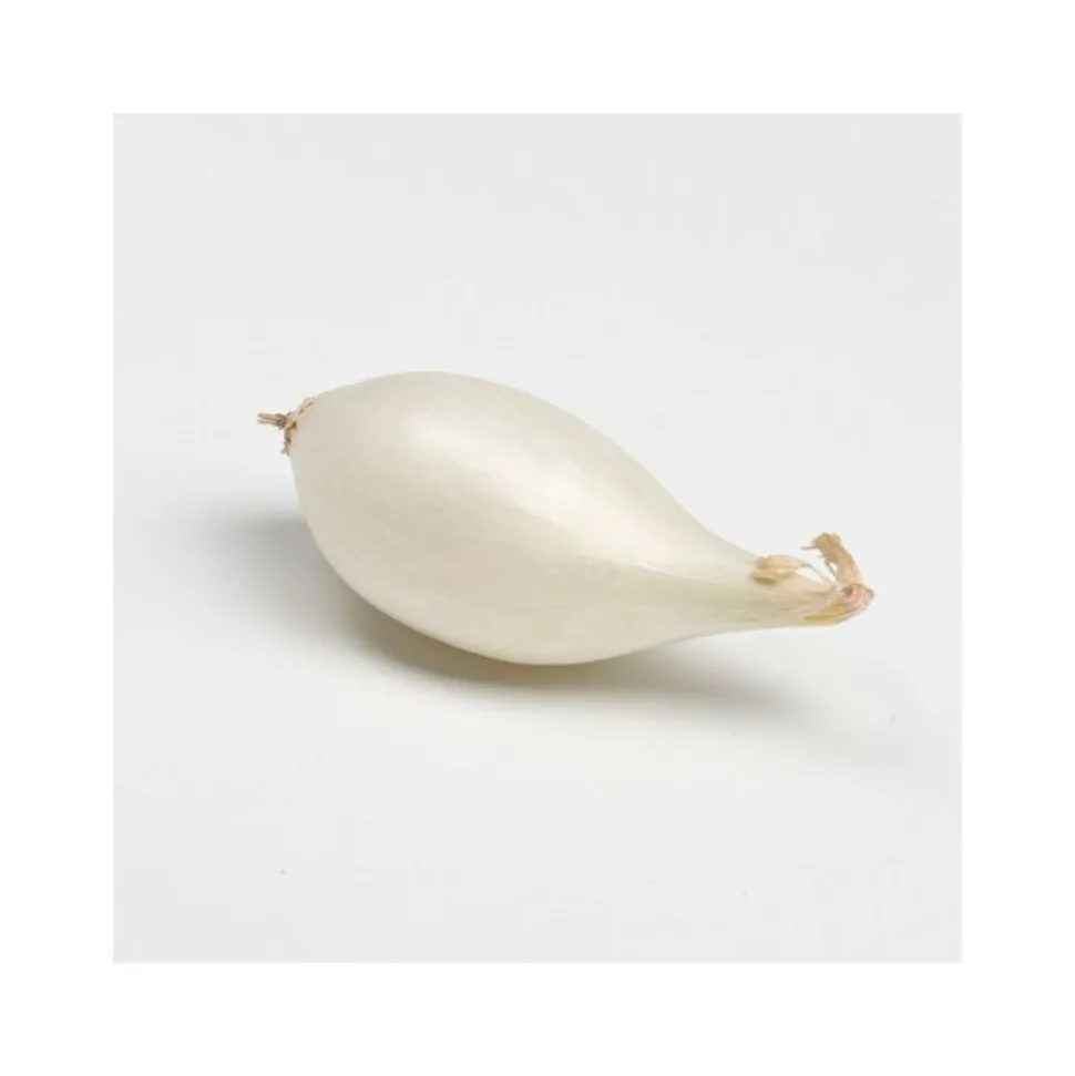 DEBAERE - Snowball (blanc) bulbes d'oignons a repiquer 500gr