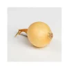 DEBAERE - Stuttgarter riesen bulbes oignons a repiquer 500gr