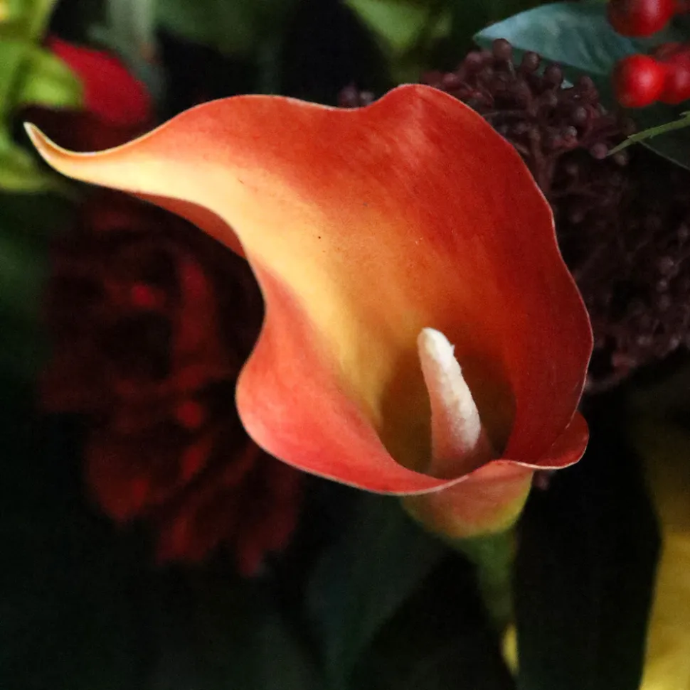 DESIGN PLANTS - Bouquet artificiel lié lié main emily porto - rouge/orange