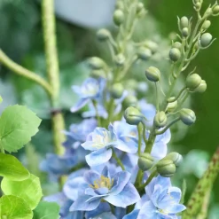 DESIGN PLANTS - Bouquet artificiel lié à la main yara portland – bleu