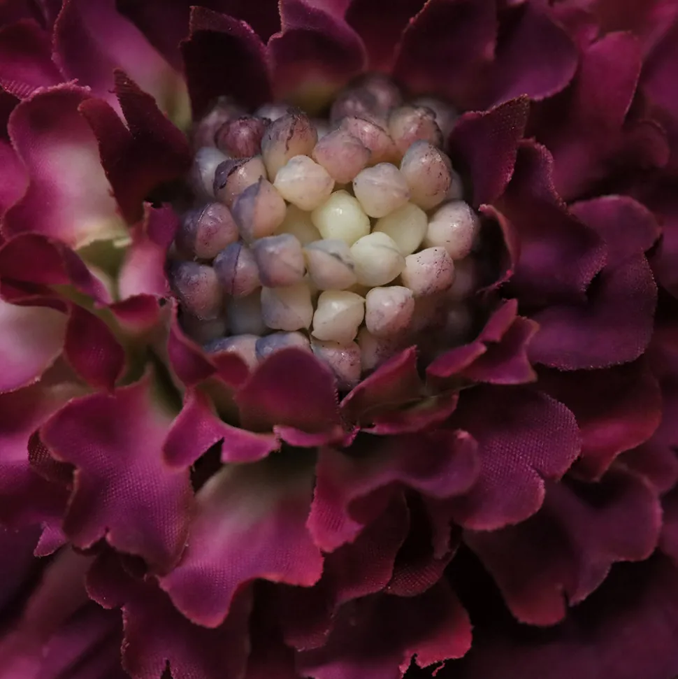 DESIGN PLANTS - Bouquet d'art artisanal heather glasgow - rose/violet