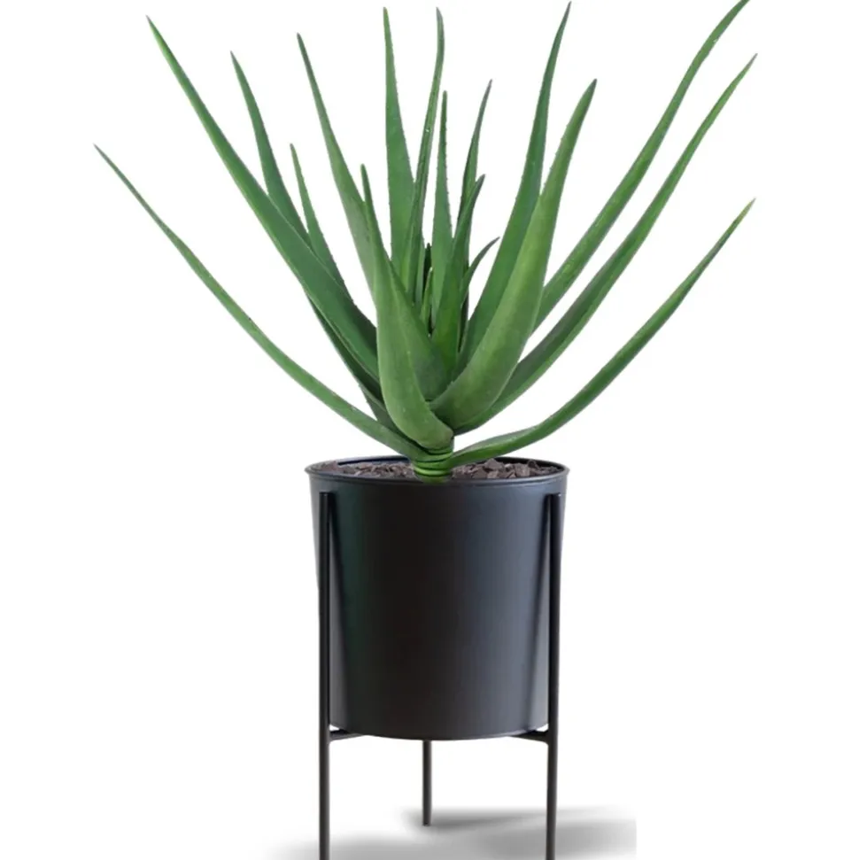 DESIGN PLANTS - Bouquet d'aloès artificiel deluxe 60 cm