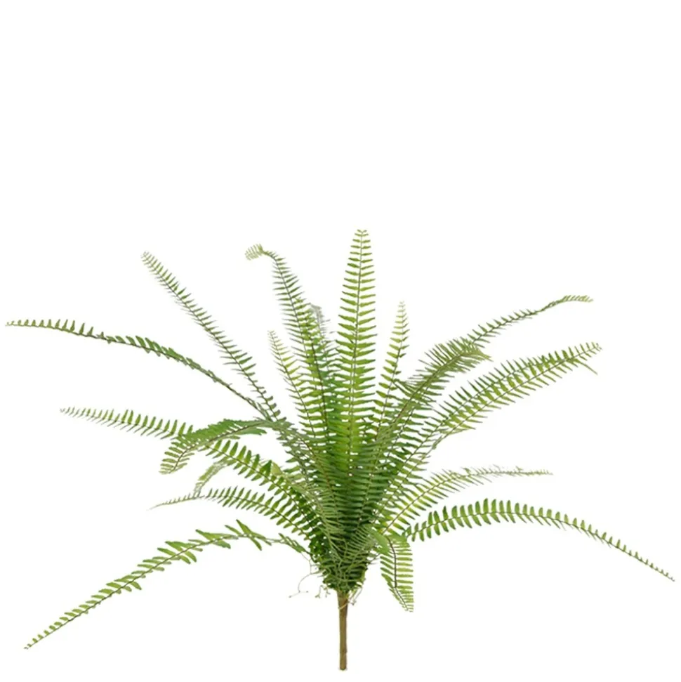 DESIGN PLANTS - Bouquet de fougère artificielle asplenium de 75 cm