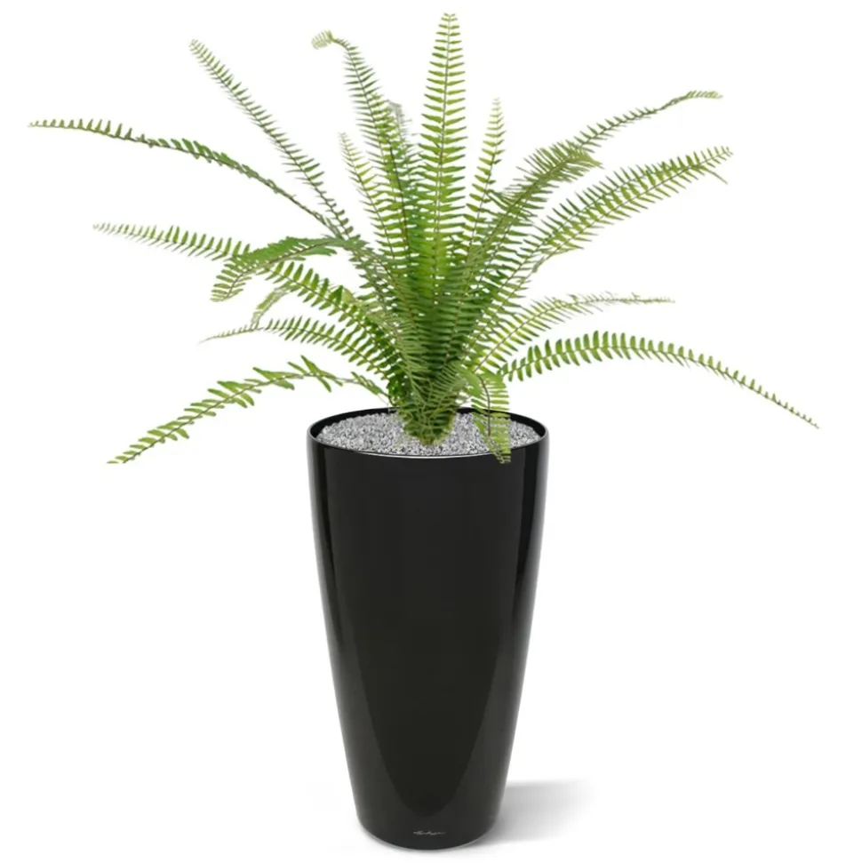 DESIGN PLANTS - Bouquet de fougère artificielle asplenium de 75 cm