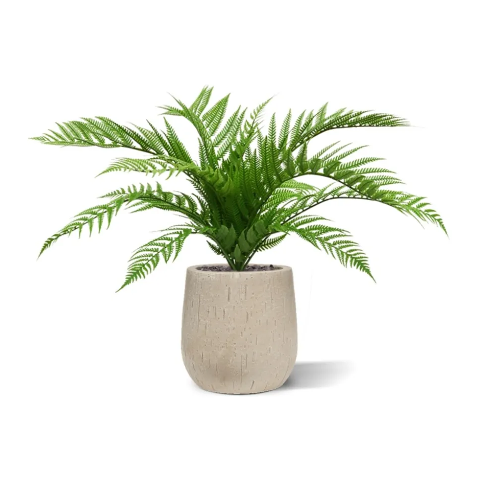 DESIGN PLANTS - Fougère alsophilla bouquet artificiel de 60 cm uv