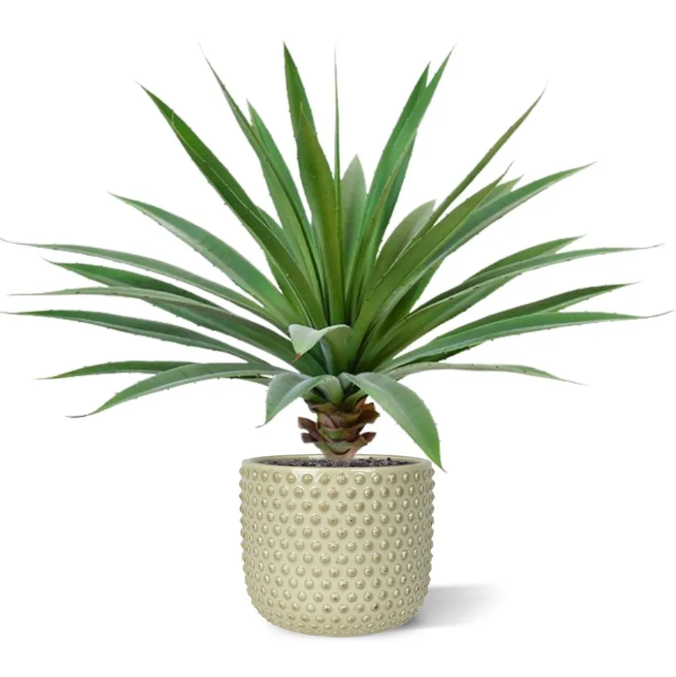 DESIGN PLANTS - Yucca bouquet artificiel de 55 cm