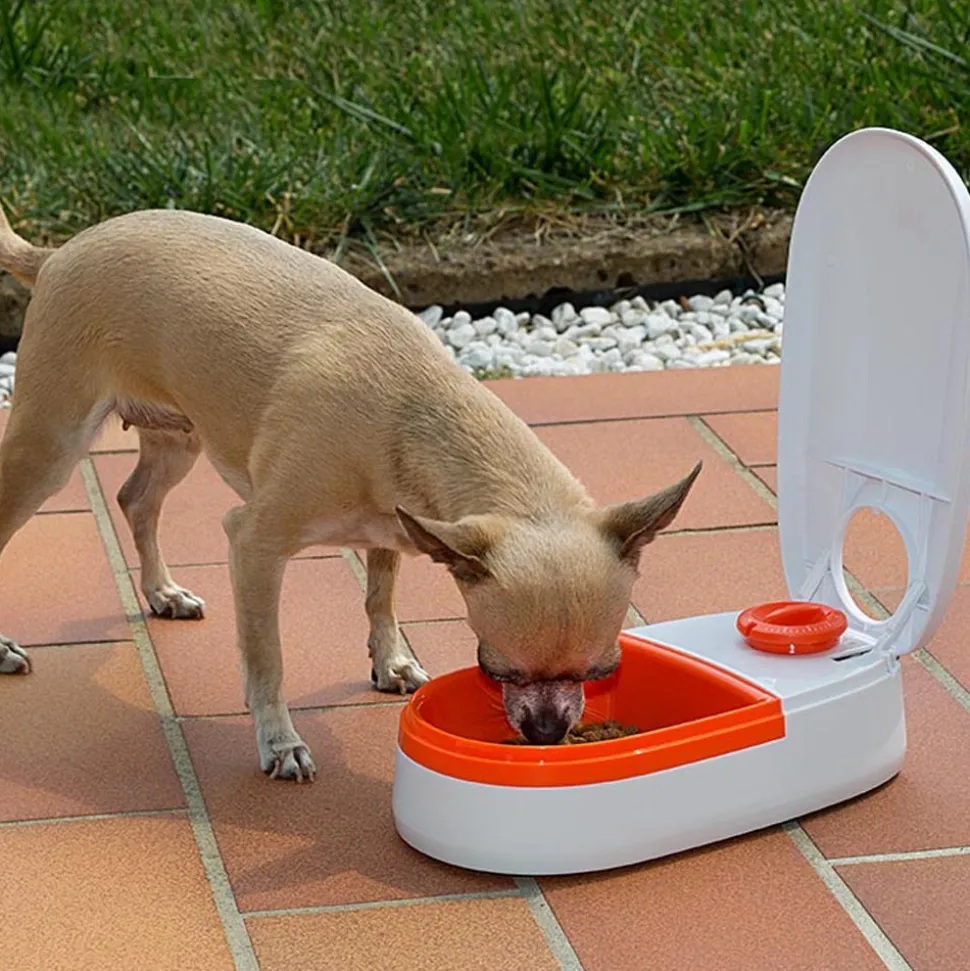 Distributeur automatique de nourriture pour chiens et chats cometa, écuelle 0,4 l avec timer, anti-dérapant
