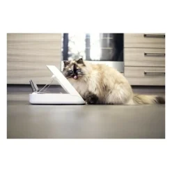 Distributeur daliment connect - blanc - pour chat