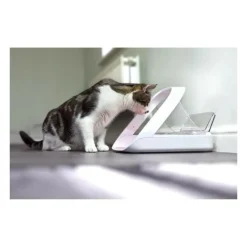 Distributeur daliment connect - blanc - pour chat