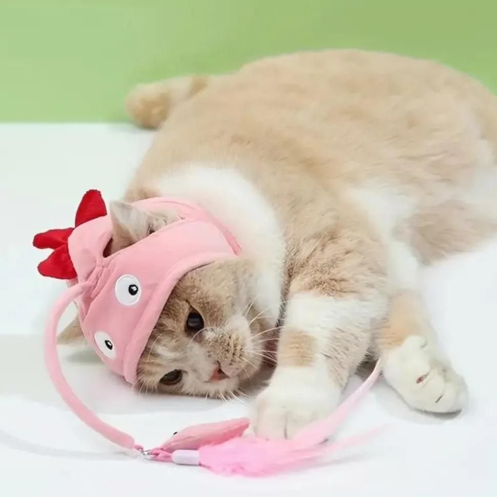 DOWNYPAWS - 2 couvre - têtes pour chatons