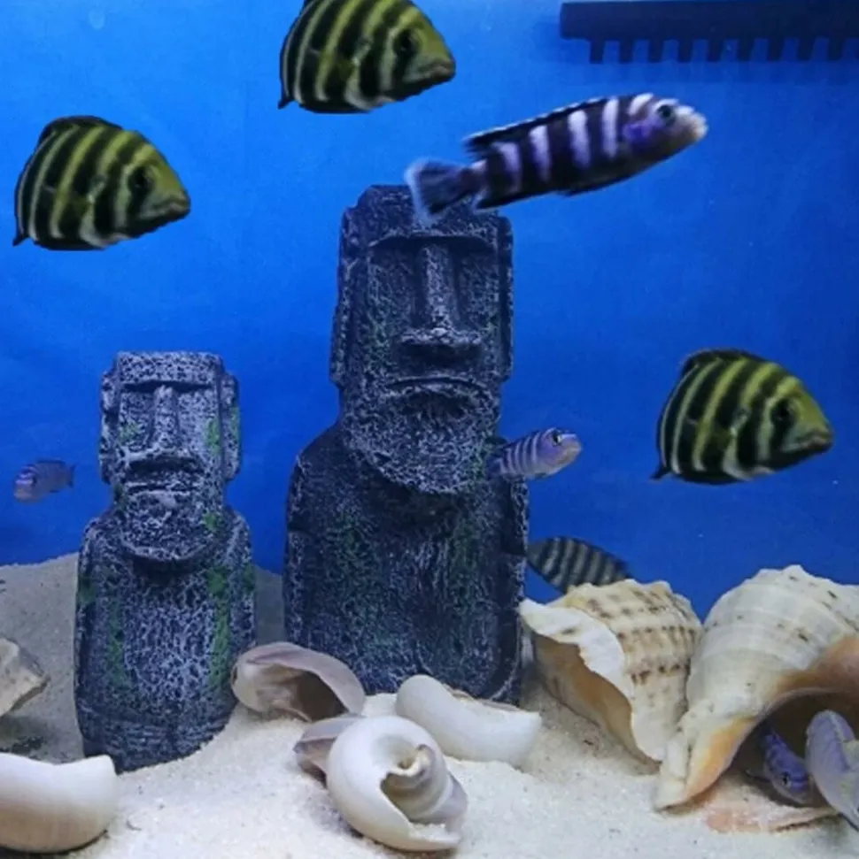 DOWNYPAWS - 2 têtes de l'île de pâques pour aquarium & décoration