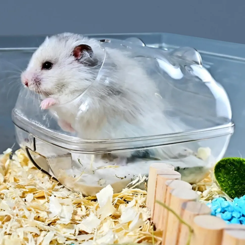 DOWNYPAWS - Bac à litière pour chat pour hamster -13*9*9cm 360° transparent