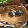 DOWNYPAWS - Baignoire et bac d'alimentation - décoration pour aquarium, pour reptiles aquatiques et grimpants
