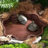 DOWNYPAWS - Baignoire et bac d'alimentation - décoration pour aquarium, pour reptiles aquatiques et grimpants