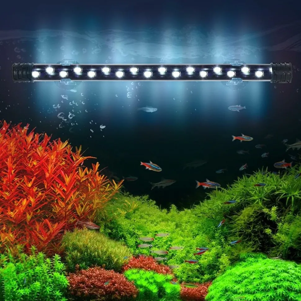 DOWNYPAWS - Bande led submersible pour aquarium - éclairage étanche m