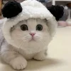 DOWNYPAWS - Bonnet d'hiver en peluche panda pour chiens et chats