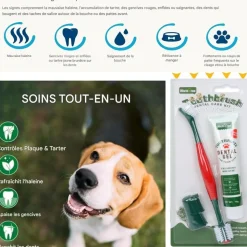 DOWNYPAWS - Brosses à dents dentifrice pour animaux saveur de bœuf-brosse à dents et dentifrice pour chien-hygiène bucco-dentaire-70g