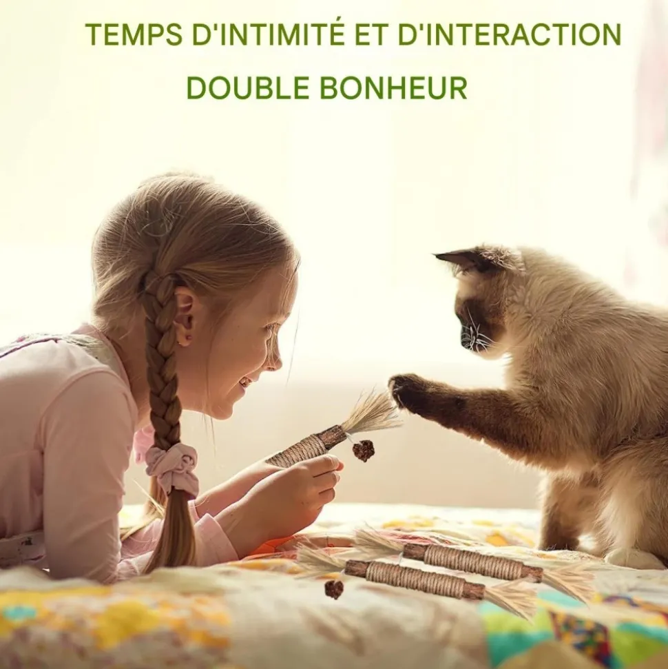 DOWNYPAWS - Bâtonnets herbe à chat 6 pièces 22cm-bâton de dentition pour chat-bon pour la santé dentaire