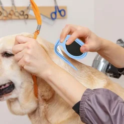 DOWNYPAWS - Ciseaux de toilettage pour chien knotting 2 articles-noir + bleu