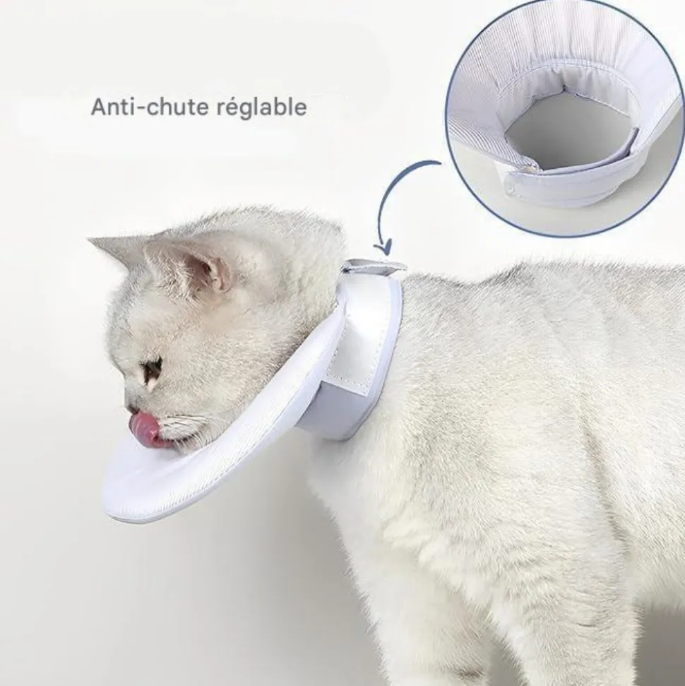 DOWNYPAWS - Collier de convalescence pour chat