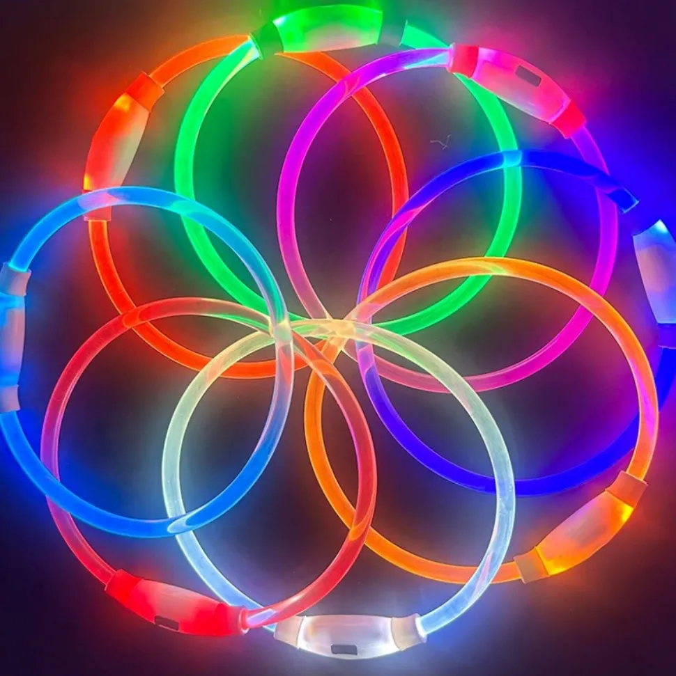 DOWNYPAWS - Collier lumineux rechargeable pour chien taille l : 70 cm de circonférence
