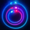 DOWNYPAWS - Collier lumineux rechargeable pour chien taille s : 30 cm de circonférence