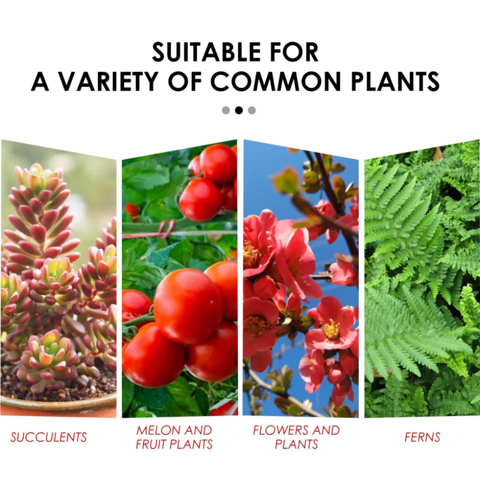 DOWNYPAWS - Comprimés de nutrition pour la croissance des plantes 22 comprimés*3