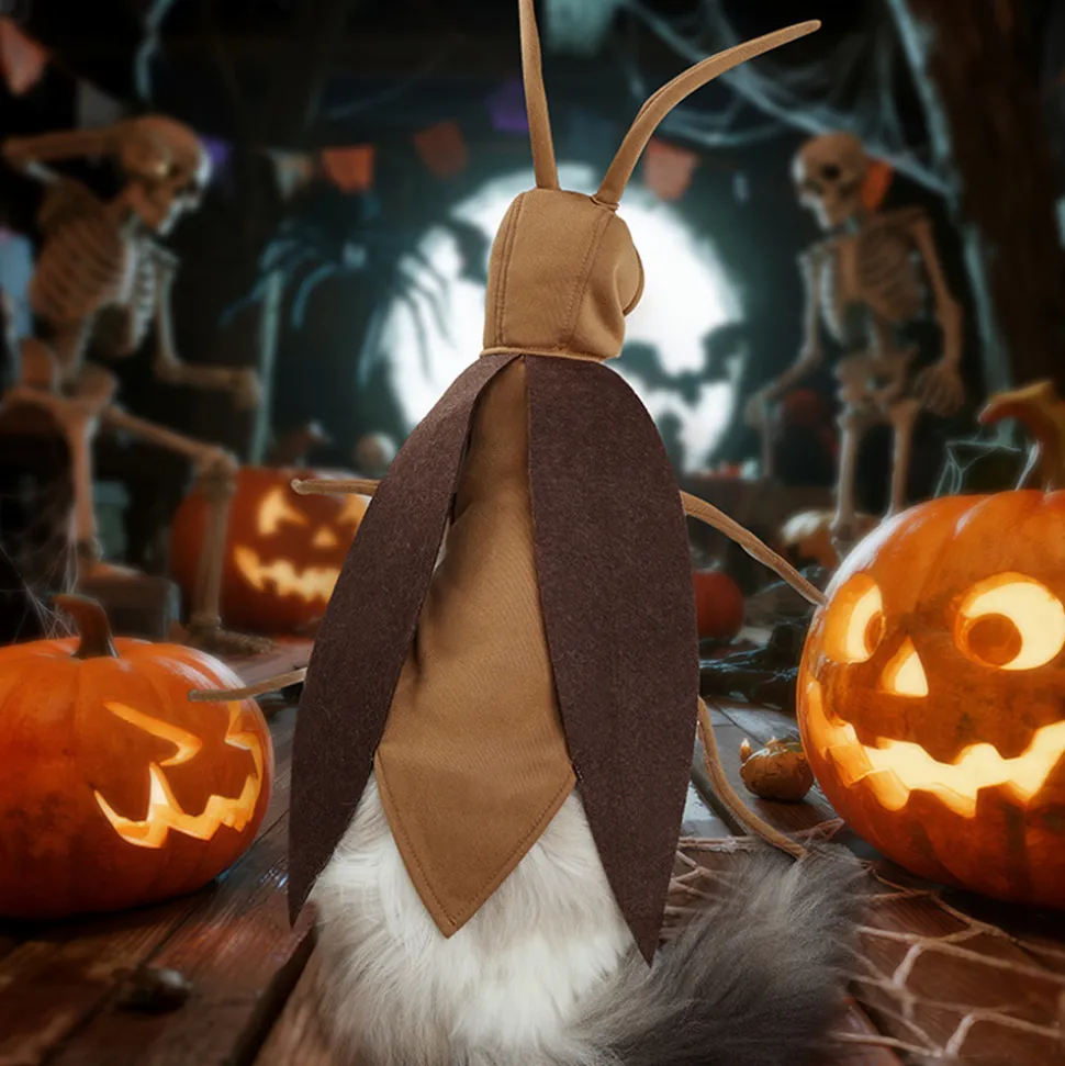 DOWNYPAWS - Costumes d'halloween pour chats et chiens - déguisement de cafard d'halloween