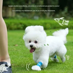DOWNYPAWS - Couvoirs à pied d'animaux jetables, non tissés et anti - glissants taille m downypaws
