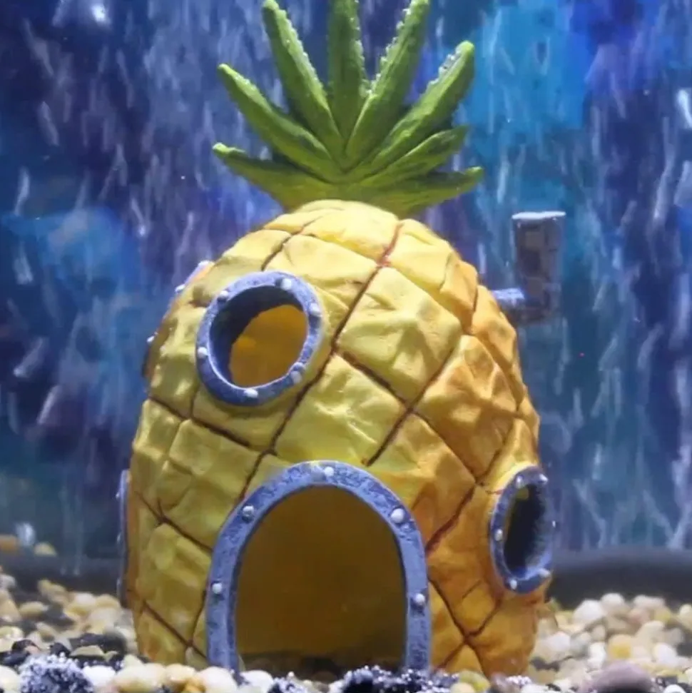 DOWNYPAWS - Décoration d'aquarium-maisonl'ananas-forme d'ananas