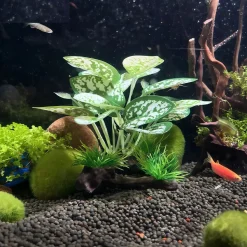 DOWNYPAWS - Décoration D'aquarium : Plantes Aquatiques Artificielles Plantes En Bois - 3 Articles Seront Envoyés Au Hasard Après L'achat