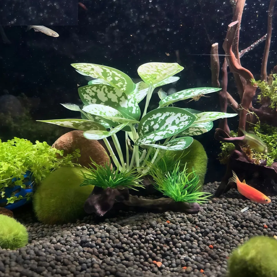 DOWNYPAWS - Décoration D'aquarium : Plantes Aquatiques Artificielles Plantes En Bois - 3 Articles Seront Envoyés Au Hasard Après L'achat