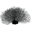DOWNYPAWS - Décoration en corail en silicone pour aquarium, arbre de corail noir