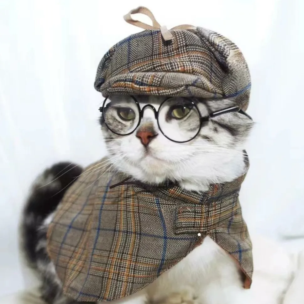 DOWNYPAWS - Ensemble de costumes de détective pour animaux de compagnie