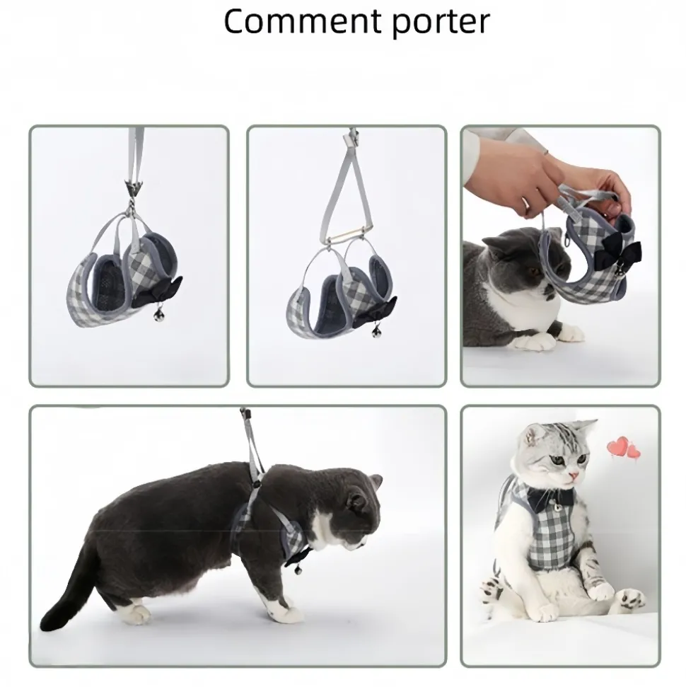 DOWNYPAWS - Ensemble de laisse pour chat m