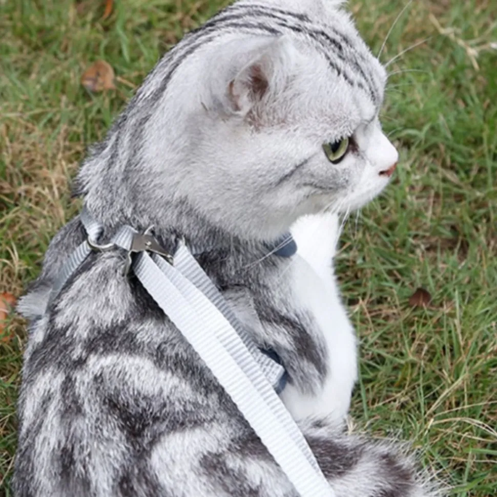 DOWNYPAWS - Ensemble de laisse pour chat m