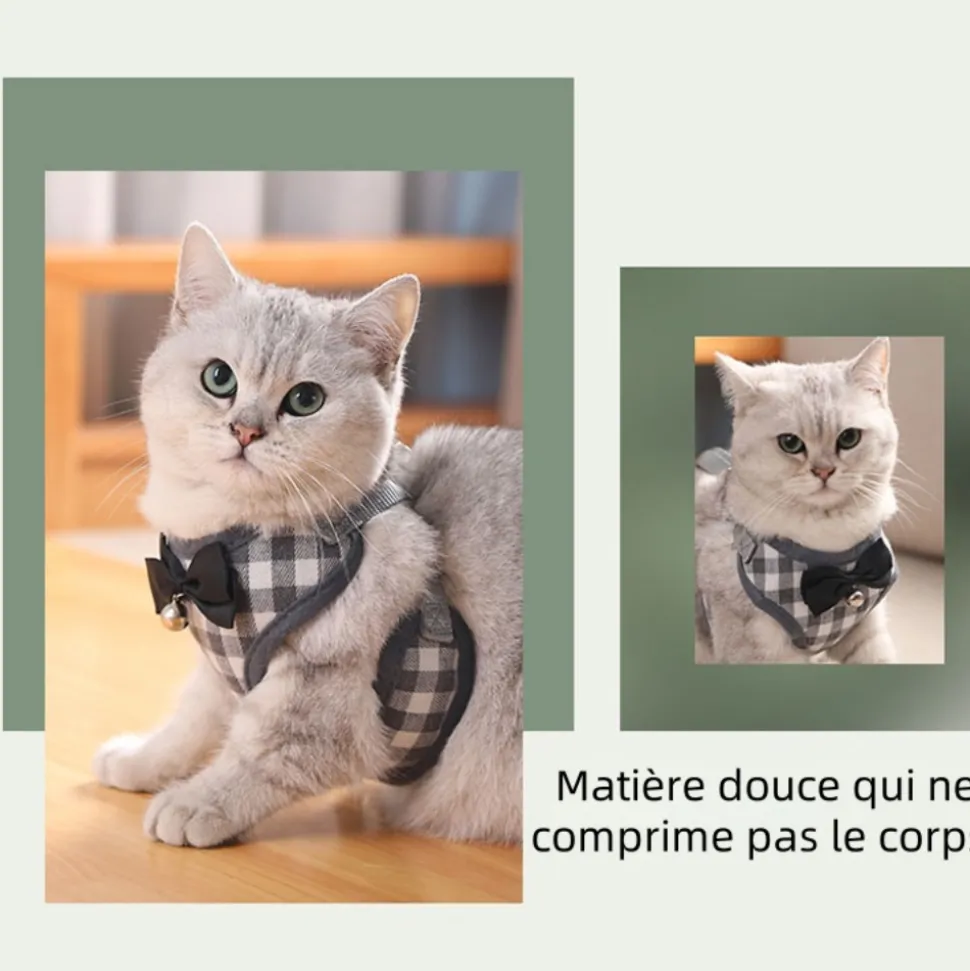 DOWNYPAWS - Ensemble de laisse pour chat l