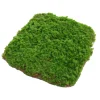 DOWNYPAWS - Feuille de mousse artificielle en peluche 40×60 cm